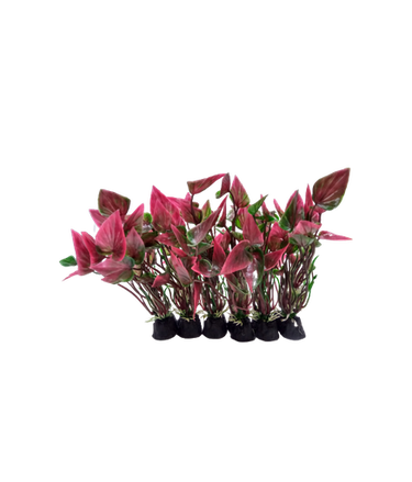 Camry Artificial Aquarium Plant Assorted (6pcs) 4 inch
